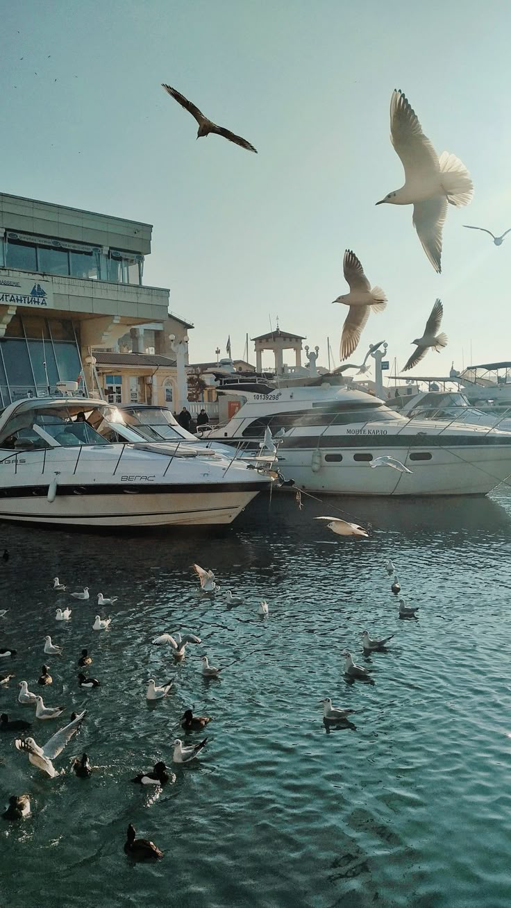 Ремонт в Сочи: влажность, сезонность и материалы у моря — фото к материалу OCC/WAY